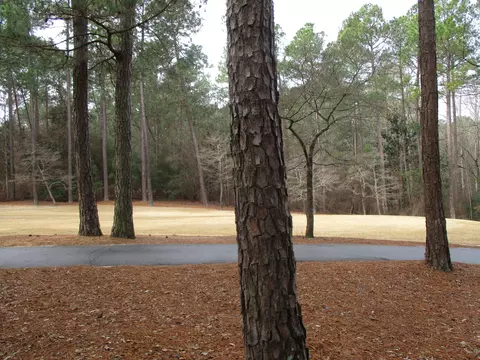 28 Glenbarr Ct, Pinehurst, NC 28374 photo 3