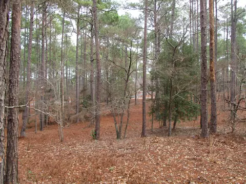 28 Glenbarr Ct, Pinehurst, NC 28374 photo 4