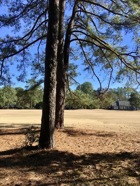70 Pine Meadows Rd, Pinehurst, NC 28374 photo 4