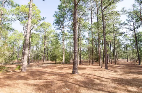 24 Devon Dr, Pinehurst, NC 28374 photo 7