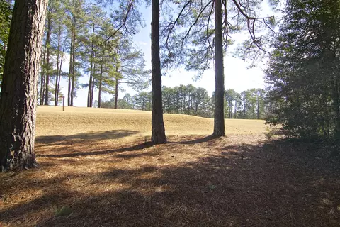 60 Firestone Ln, Pinehurst, NC 28374 photo 20