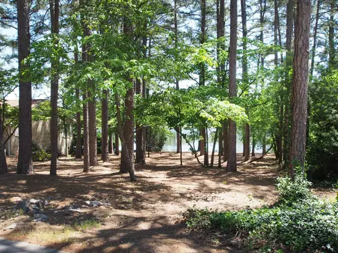 45 Gingham Ln, Pinehurst, NC 28374 photo 34