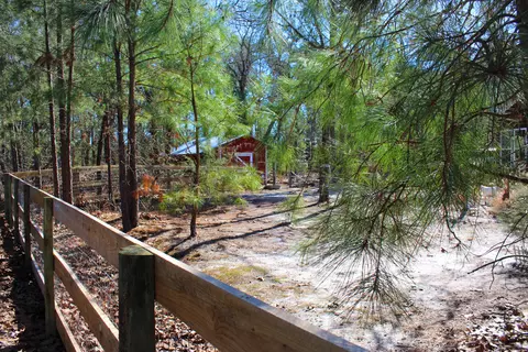 240 Needmore Rd, Cameron, NC 28326 photo 31