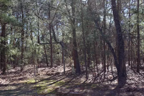 240 Needmore Rd, Cameron, NC 28326 photo 47