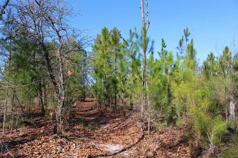 240 Needmore Rd, Cameron, NC 28326 photo 39
