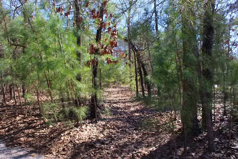 240 Needmore Rd, Cameron, NC 28326 photo 40