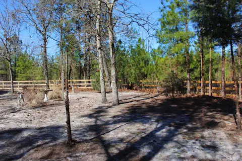 240 Needmore Rd, Cameron, NC 28326 photo 30