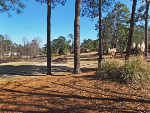 155 Inverrary Rd, Pinehurst, NC 28374 photo 54