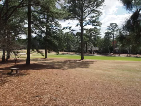 22 Beasley Dr, Pinehurst, NC 28374 photo 32