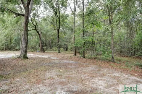 253 Elbert Arnsdorff Rd, Springfield, GA 31329 photo 5