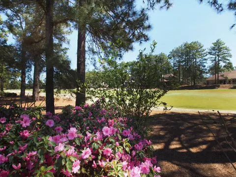 14 Scioto Ln, Pinehurst, NC 28374 photo 42