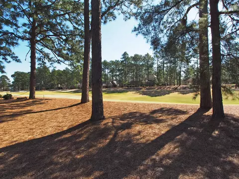 14 Scioto Ln, Pinehurst, NC 28374 photo 43