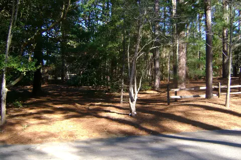 4 Thunderbird Cir, Pinehurst, NC 28374 photo 11