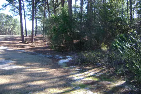4 Thunderbird Cir, Pinehurst, NC 28374 photo 14