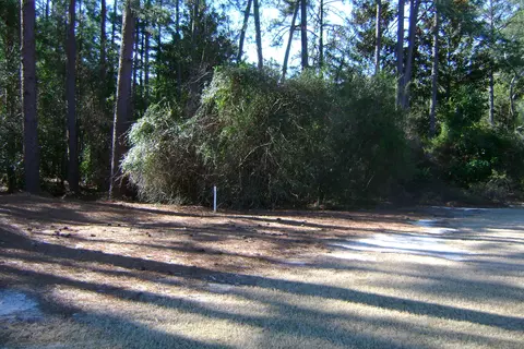 4 Thunderbird Cir, Pinehurst, NC 28374 photo 10