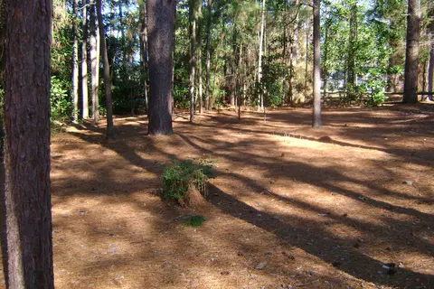 4 Thunderbird Cir, Pinehurst, NC 28374 photo 7