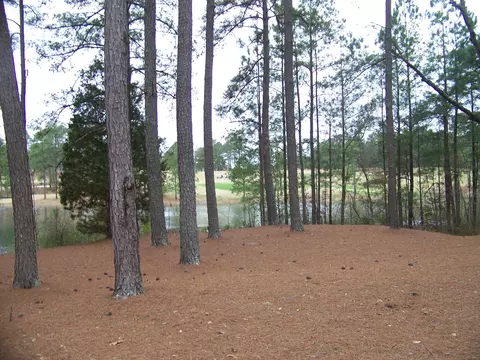 175 E Lake Vw, Pinehurst, NC 28374 photo 6