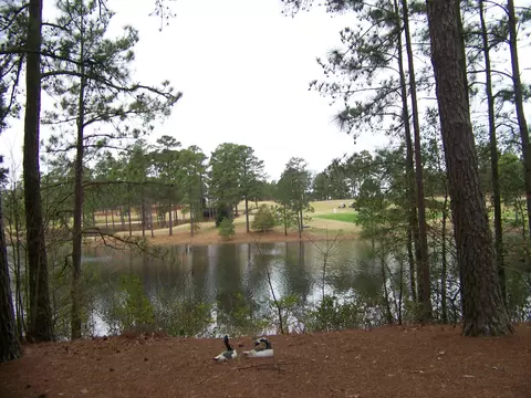 175 E Lake Vw, Pinehurst, NC 28374 photo 5