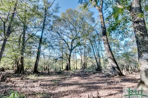 365 High Bluff Rd, Rincon, GA 31326 photo 15