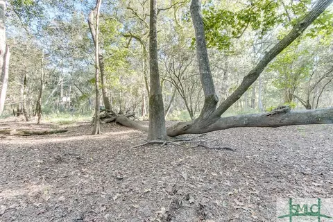 365 High Bluff Rd, Rincon, GA 31326 photo 14