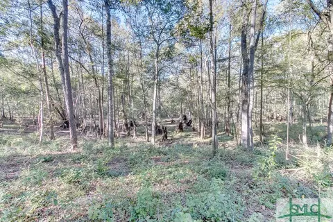 365 High Bluff Rd, Rincon, GA 31326 photo 13