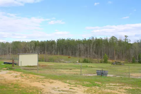 218 Stella Way, Cameron, NC 28326 photo 19