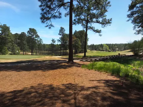 85 Abbottsford Dr, Pinehurst, NC 28374 photo 57