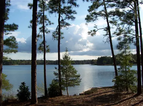 163 Firetree Ln, West End, NC 27376 photo 29