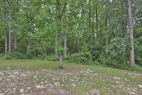 103 Sams Rd, Hamlet, NC 28345 photo 27