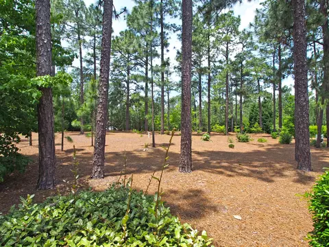 650 Pinehurst Trace Dr, Pinehurst, NC 28374 photo 29