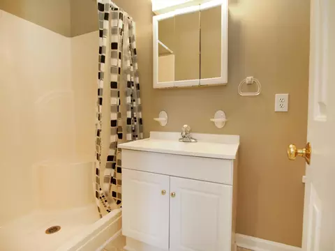 246 Firetree Ln, West End, NC 27376 photo 20