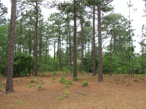245 National Dr, Pinehurst, NC 28374 photo 3