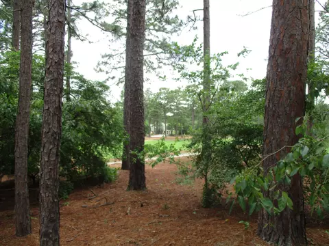 245 National Dr, Pinehurst, NC 28374 photo 4