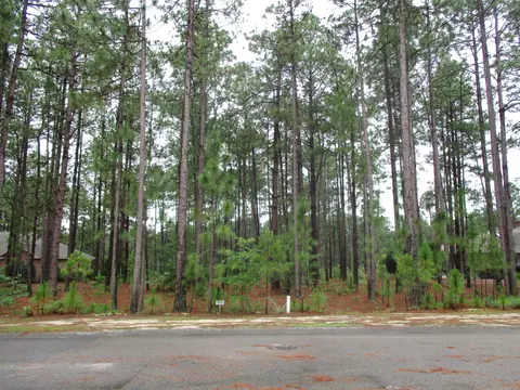 22 Strathaven Dr, Pinehurst, NC 28374 photo 4