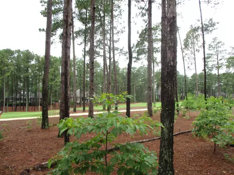22 Strathaven Dr, Pinehurst, NC 28374 photo 2