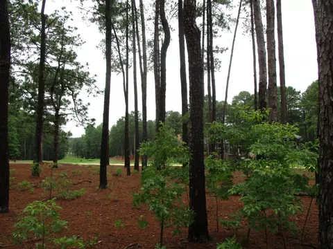 22 Strathaven Dr, Pinehurst, NC 28374 photo 3