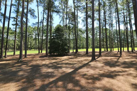 44 Greyabbey Dr, Pinehurst, NC 28374 photo 45