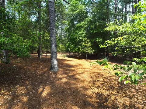 145 Gray Fox Run, Pinehurst, NC 28374 photo 29