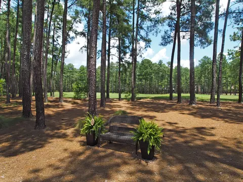 56 Greyabbey Dr, Pinehurst, NC 28374 photo 29