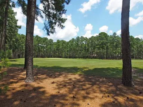 56 Greyabbey Dr, Pinehurst, NC 28374 photo 30