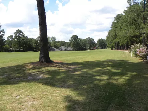 10 Pine Tree Rd #219, Pinehurst, NC 28374 photo 10