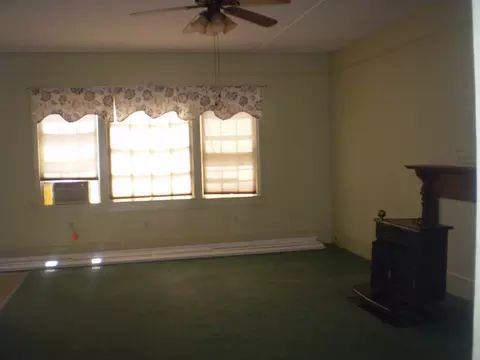 217 Minturn Ave, Hamlet, NC 28345 photo 18