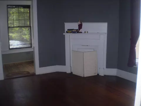 217 Minturn Ave, Hamlet, NC 28345 photo 23