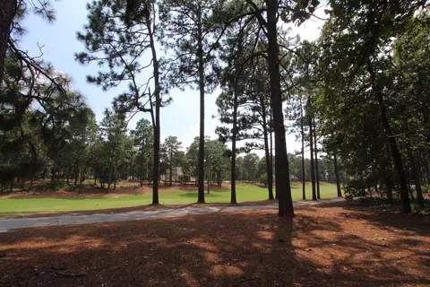 60 Dungarvan Ln, Pinehurst, NC 28374 photo 8