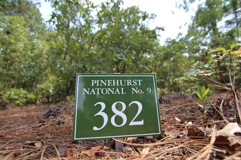 60 Dungarvan Ln, Pinehurst, NC 28374 photo 5