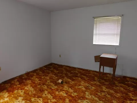 300 Perry Williams Rd, Hamlet, NC 28345 photo 10