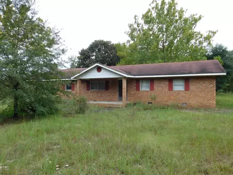 300 Perry Williams Rd, Hamlet, NC 28345 photo 3