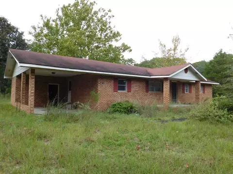 300 Perry Williams Rd, Hamlet, NC 28345 photo 1