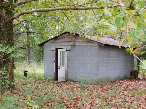 300 Perry Williams Rd, Hamlet, NC 28345 photo 6