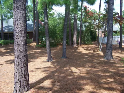 185 Pinehurst Trace Dr, Pinehurst, NC 28374 photo 16